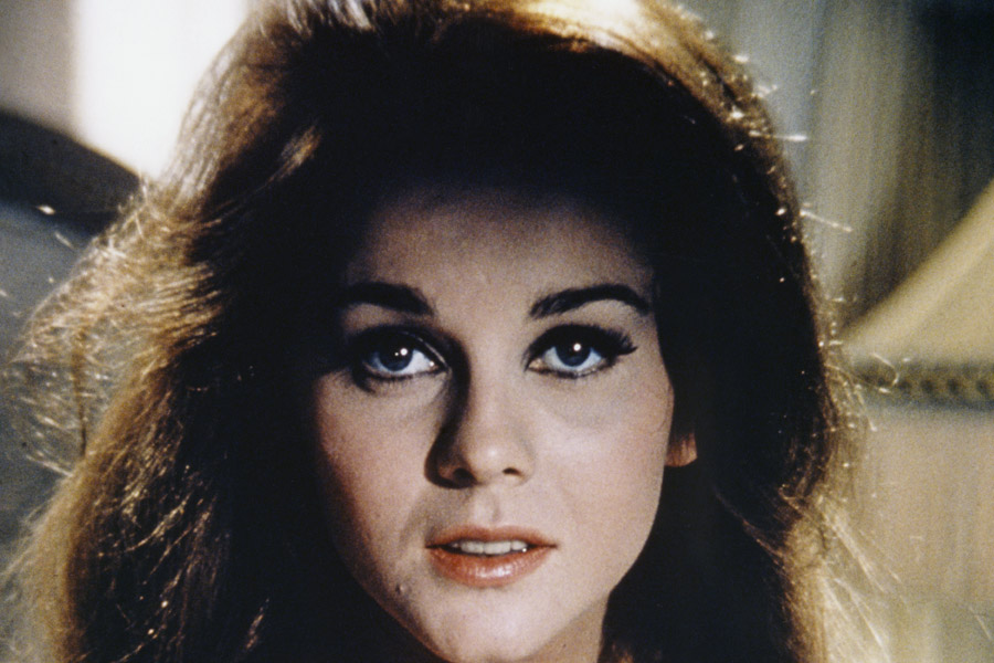 Ann Margeret: A Vivid Portrait of Stardom, Family, and Lasting Grace 2 ann margere