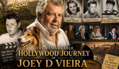 Joey D Vieira
